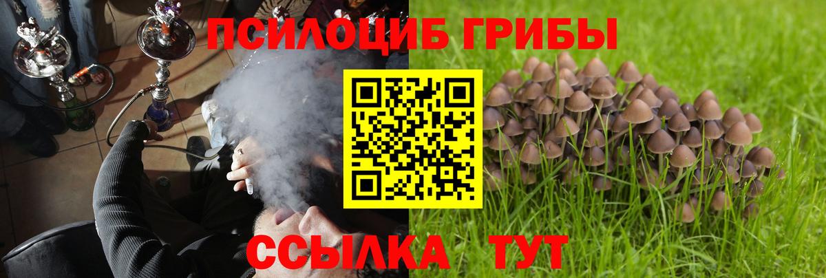 Галлюциногенные грибы мухоморы  Вход с VPN  Переславль-Залесский 